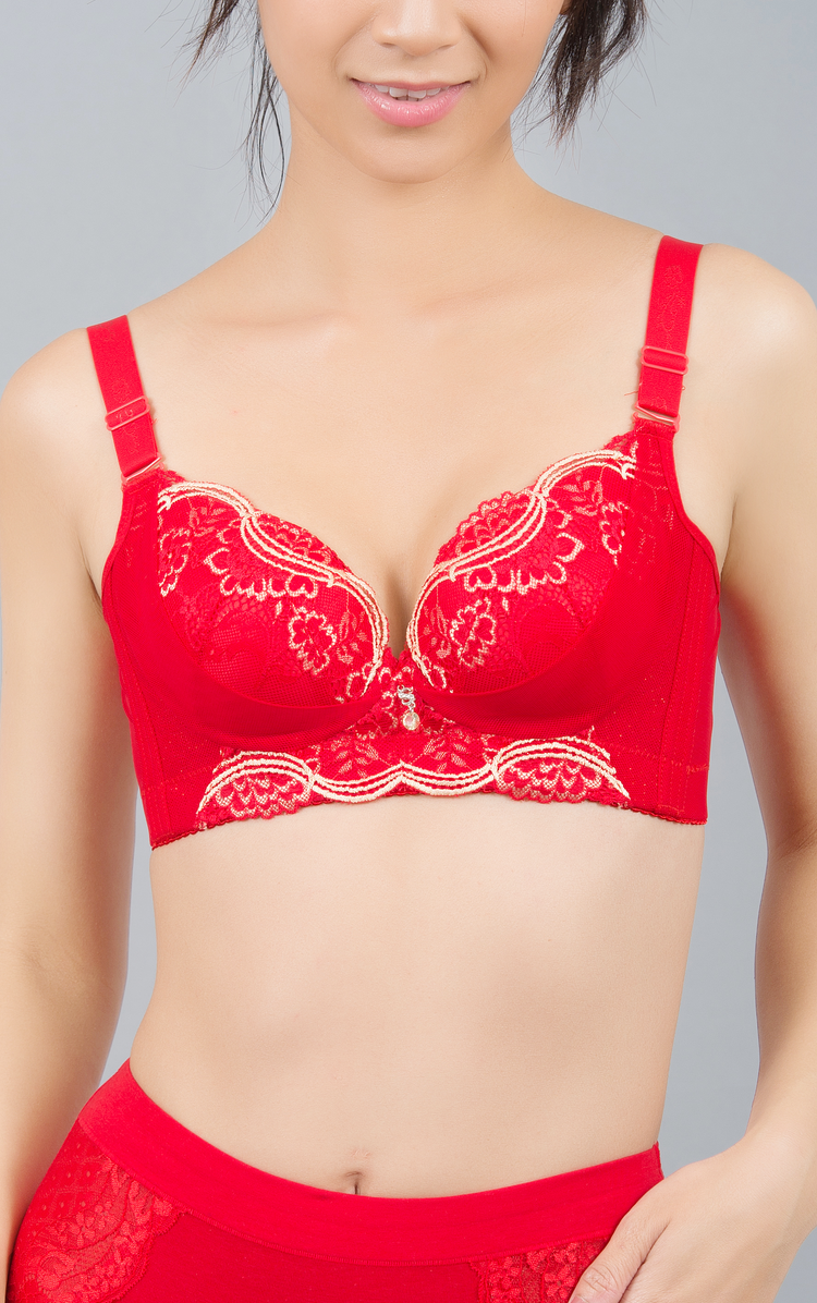 Non Padded Underwire Push Up Bras for Women with Sheer Lace for C Cup