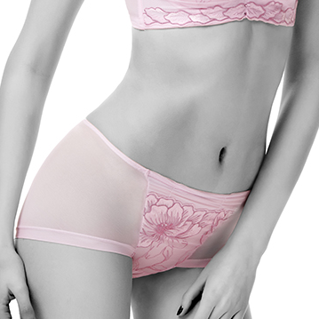 Wonderful Embroidered Lace Panty #11516