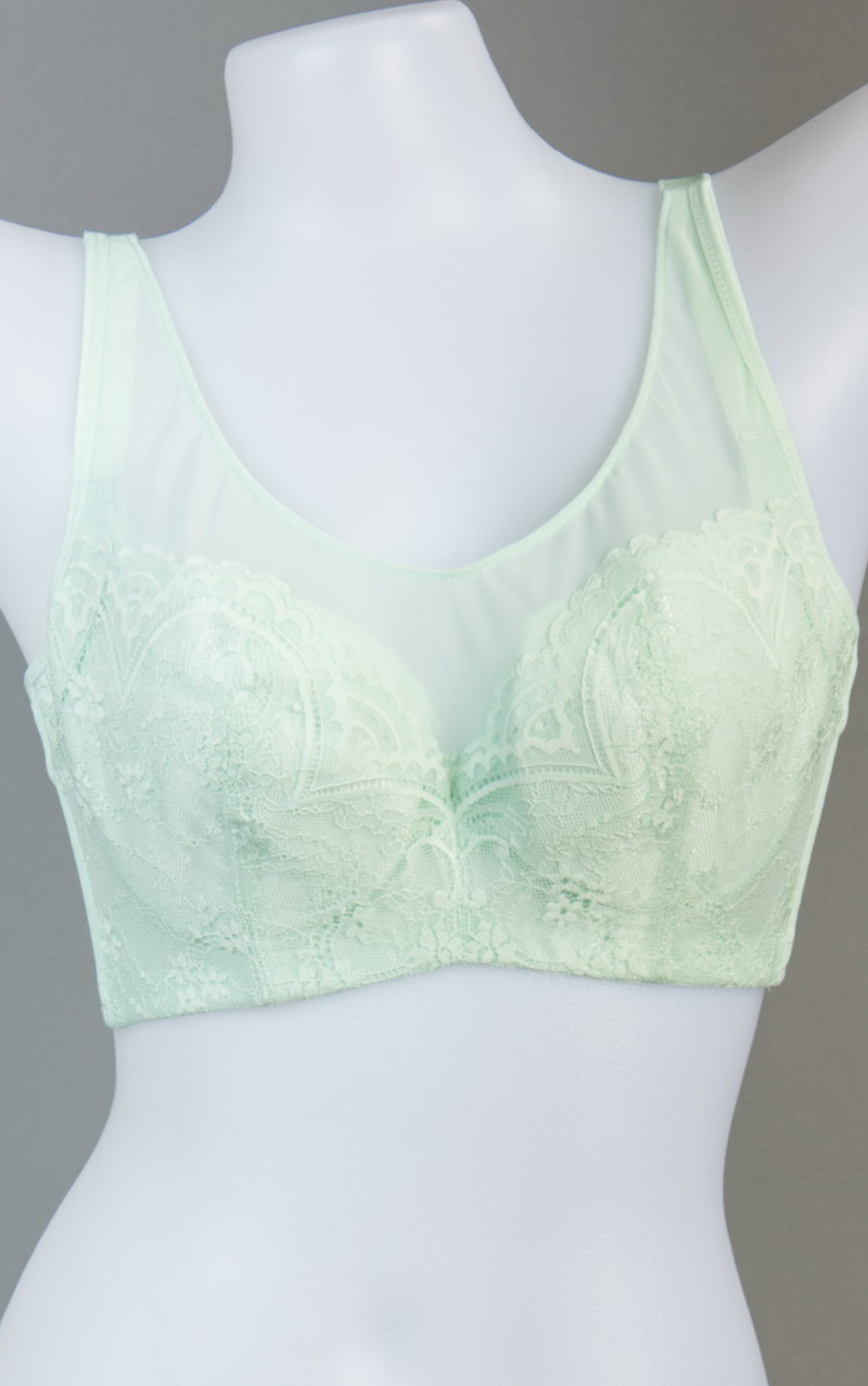 Back view of black lace mesh full coverage contour bra highlighting underwire support band